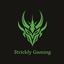 Strickly Server Craft logo
