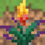 Nebula S. Nova's Survival+ logo