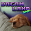 Tacos' Dreamland logo