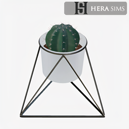 Cactus in modern vase