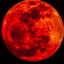 red moon survival logo