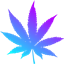 FrunzaCraft logo