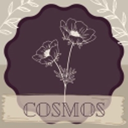 Seeds of Cosmos Currency project image