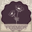 Seeds of Cosmos Currency logo