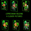 Leprechaun Holding a clover Picture