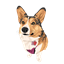 Ivy Journeys logo