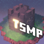 TSMP-Tower SMP logo