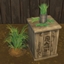 Chives Harvestable & Plant logo