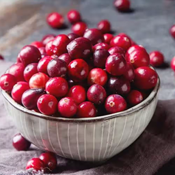 The Faithful Experience [FABRIC]