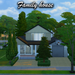 A house for a big family