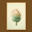 Classic Cactus Painting #2 Sellable Extra A Samtuse963 logo