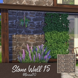 Stone Wall #15