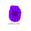 Amethyst Craft logo