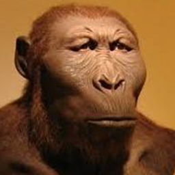 Monkeys Unite Pack logo