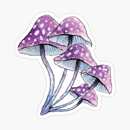 A Simply Magical Exploration logo