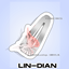 LIN-DIAN_Metal butterfly hair clip（Hat） logo