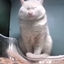 SennnyCraft logo