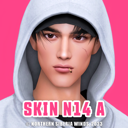 Skin N14 A