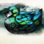 FarmQuest logo