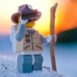 Wild Explorations project image