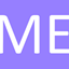 Light-weight Ships logo