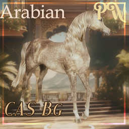 [PW] Arabian Courtyard CAS Background