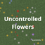 uncontrolled flowers