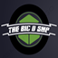 TheBigDSMP logo
