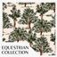 Equestrian Wallpaper 03 logo
