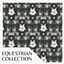Equestrian Wallpaper 05 logo
