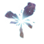 The Rift Smp logo