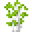 Biomes++ (Fabric) logo
