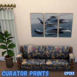 Curator Prints CP 133