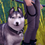 MF - Take the Lead | Leash Default Replacement logo