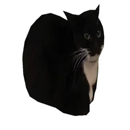 The Special RP of Tech and Magic logo