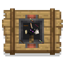 No Gui FD logo