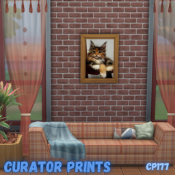 Curator prints CP 177