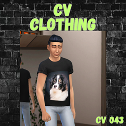 clothing cv043