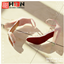 Iridescent Ankle Strap Block Heels logo