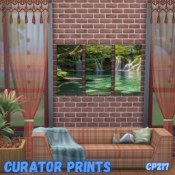 Curator prints CP 217