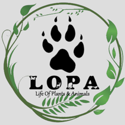 LOPA - Life of Plants and Animals - Minecraft Modpacks - CurseForge