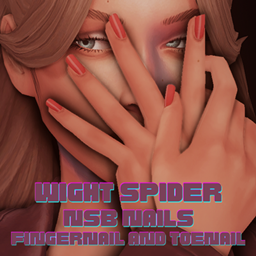 WS Nails: NSB Colors project image