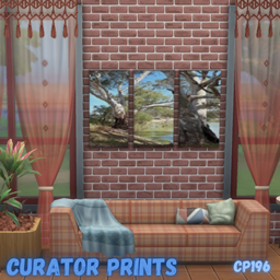 Curator prints CP 196