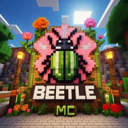BeetleCRAFT project image