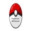 Whiteout on Loss (For Pixelmon) logo