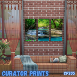 Curator prints CP 205