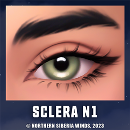 Sclera №1
