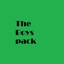 Pocket Llama Presents: The Boys Pack logo