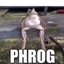 PHROGPACK logo