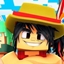 One Piece Back logo